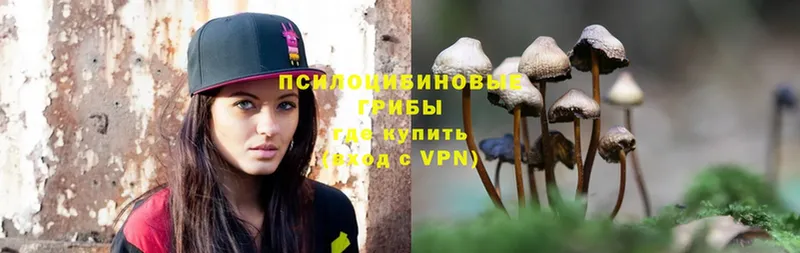 Псилоцибиновые грибы MAGIC MUSHROOMS  Старая Русса 